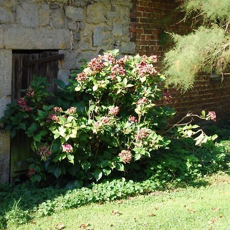 Gite La Grange D'Herbuchenne ดีน็อง ภายนอก รูปภาพ