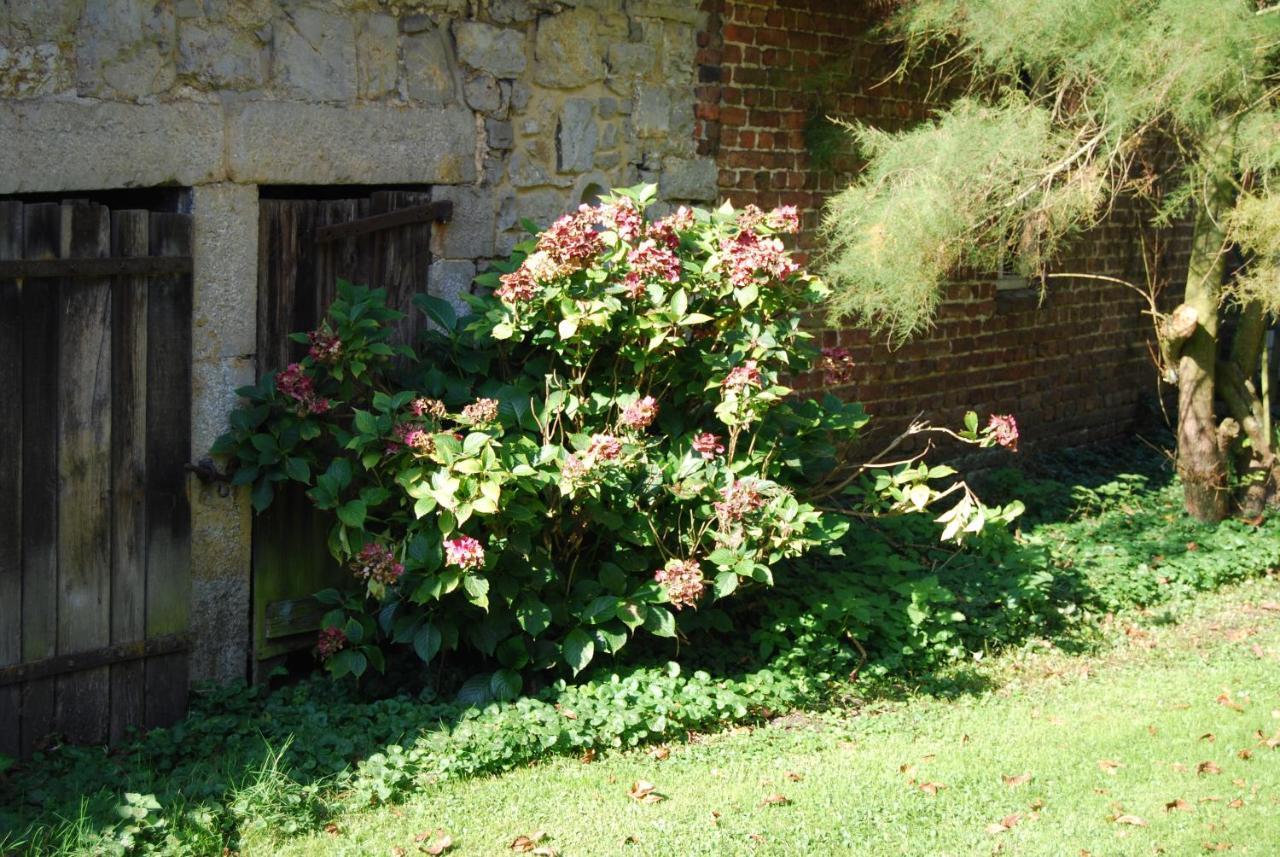 Gite La Grange D'Herbuchenne ดีน็อง ภายนอก รูปภาพ